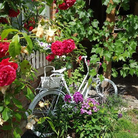 Romantisches Rosencottage Hofheim in Unterfranken Ngoại thất bức ảnh