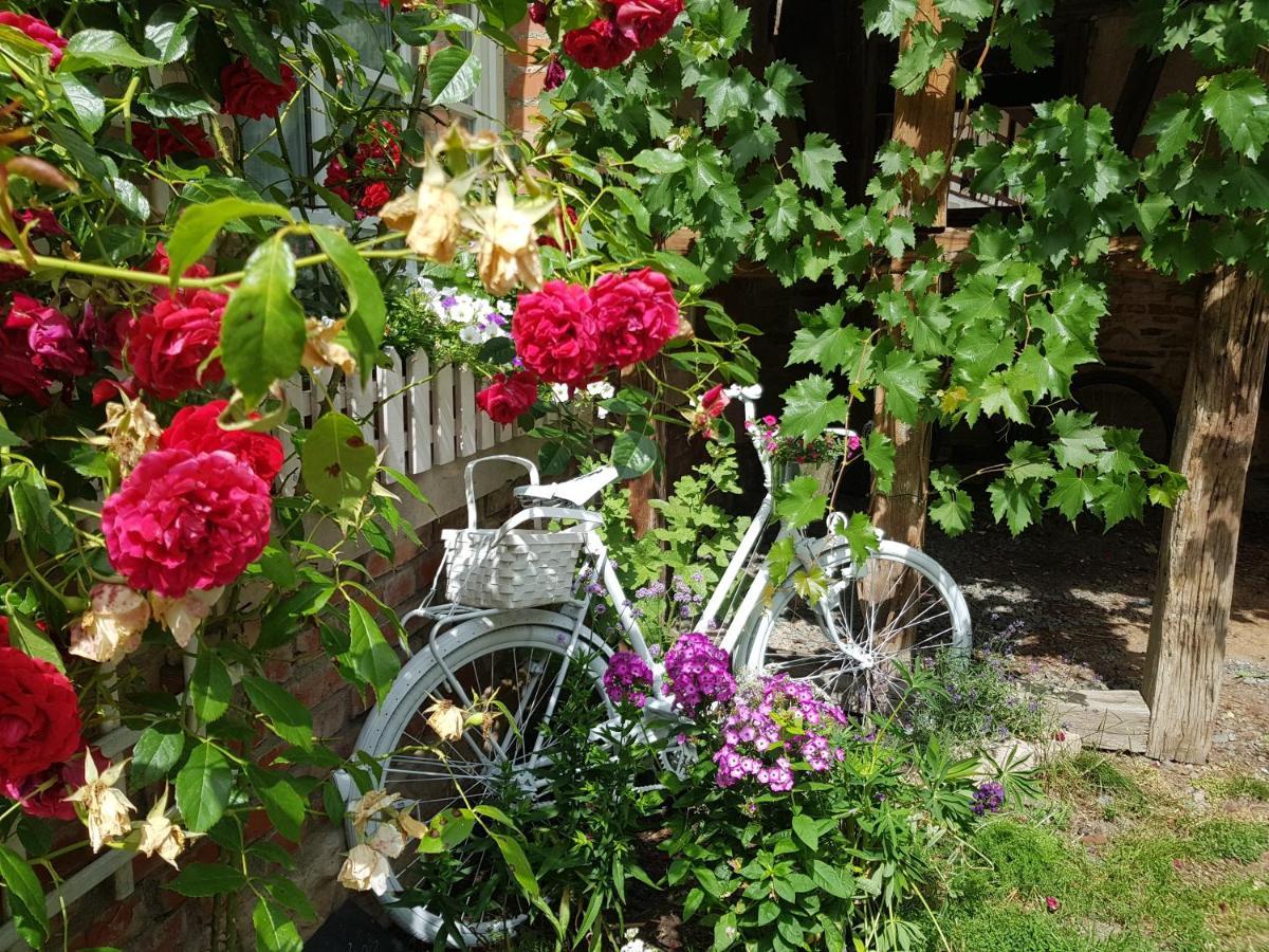 Romantisches Rosencottage Hofheim in Unterfranken Ngoại thất bức ảnh